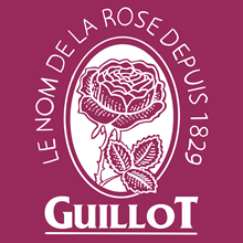 Roses Guillot