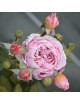 Anne-Sophie Pic®