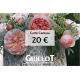 Carte cadeau 20€