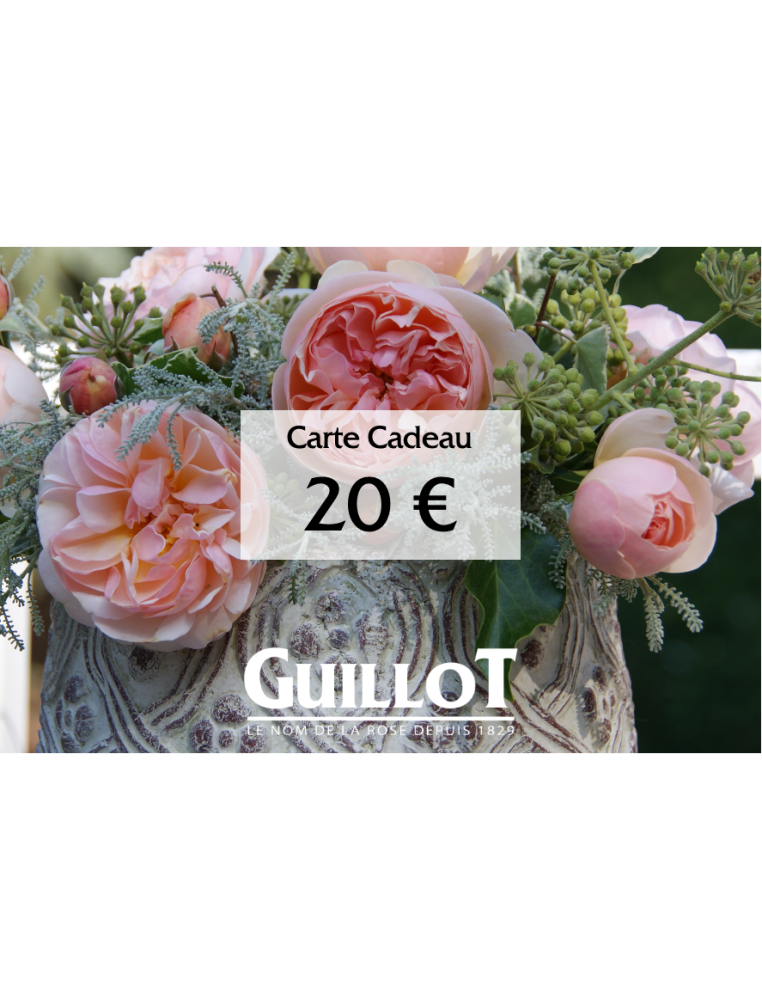 Carte cadeau 20€