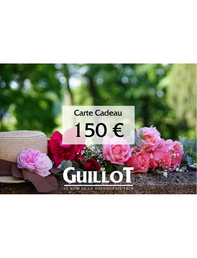 Carte cadeau 150€