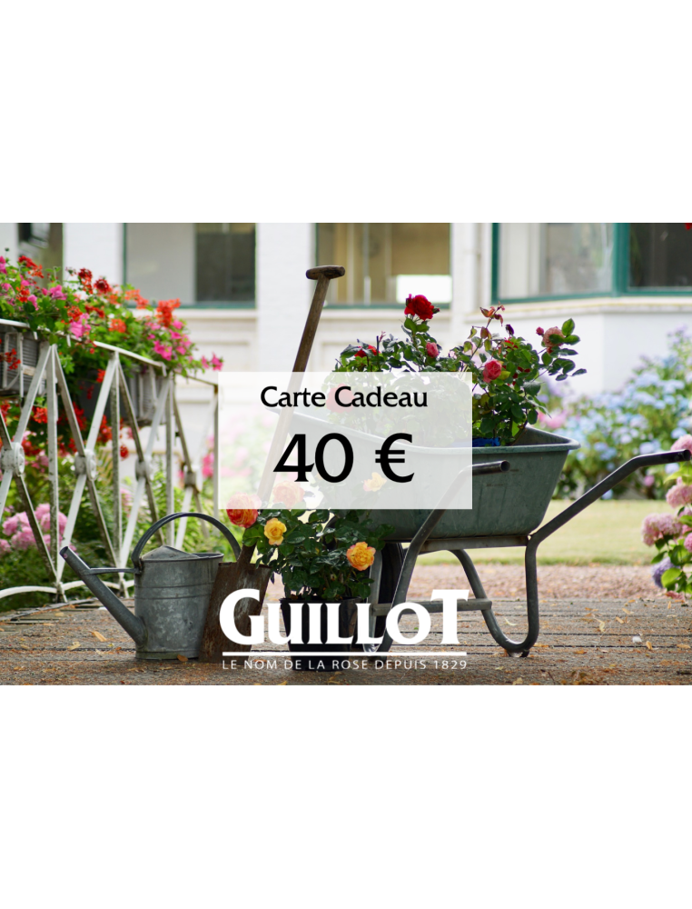 Carte cadeau 40€