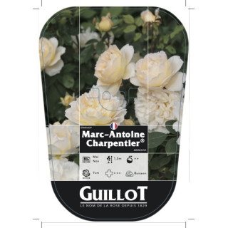 Marc-Antoine Charpentier®...