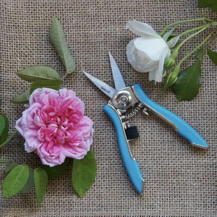 Secateur Epinette Happpy Line -  ©Roses Guillot®