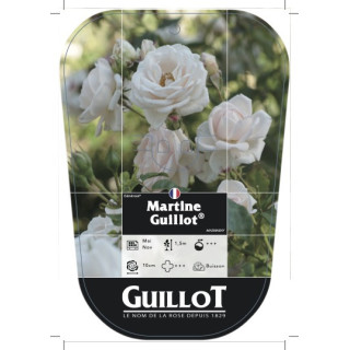 Martine Guillot® - Grimpant...