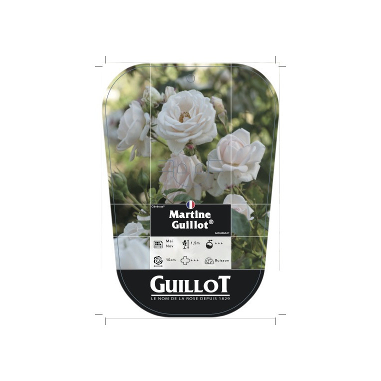 Martine Guillot® - Grimpant (chromo)