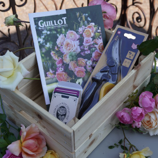Coffret cadeau - ©Roses Guillot®