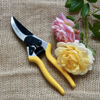 Coffret cadeau - ©Roses Guillot®