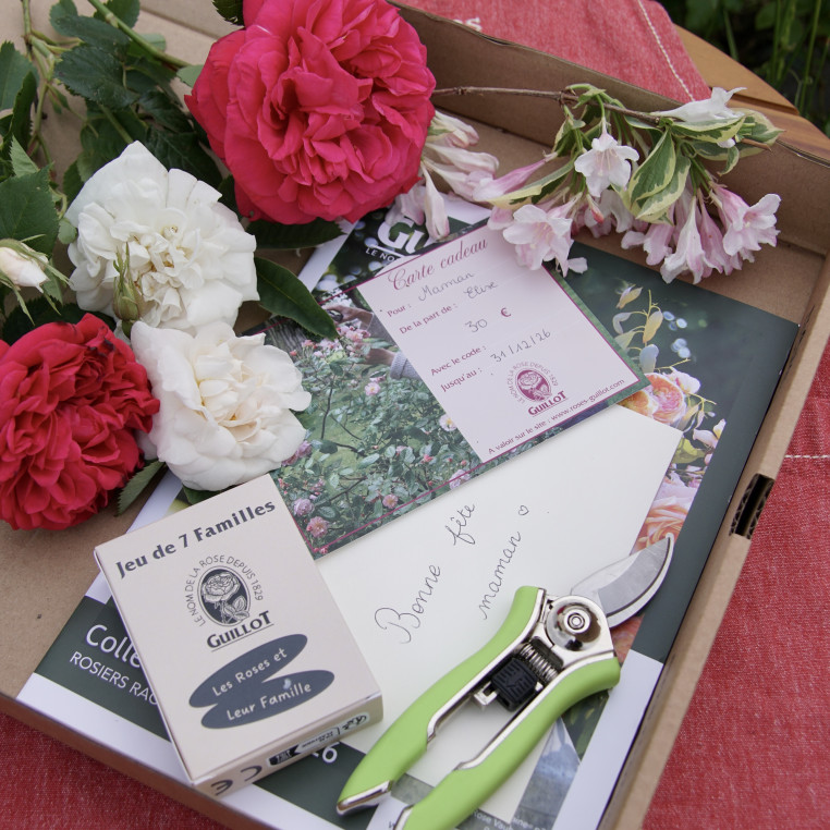 Coffret cadeau Fête des mères - ©Roses Guillot®