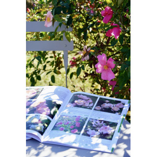Catalogue Rosier Guillot®