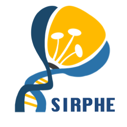 logo SIRPHE